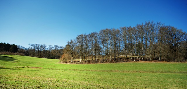 Fernstudium Regenstauf